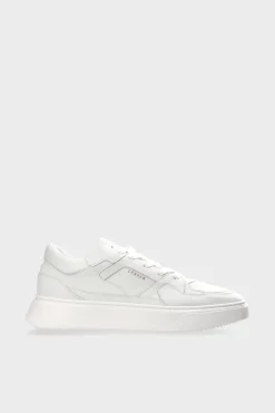 CPH811M Vitello White